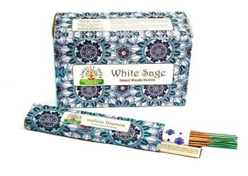 NAMASTE MASALA 15GR X12 SALVIA BLANCA