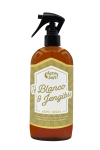 Té Blanco y Jengibre