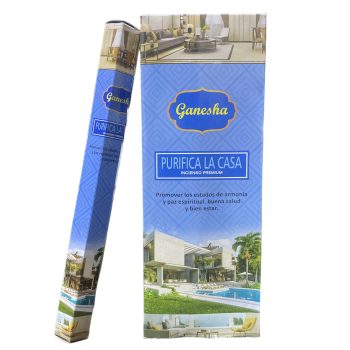 HEXAGONAL GANESHA X6 LIMPIA CASA