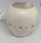 631722880_1999486034300616_2956651274704071828_n