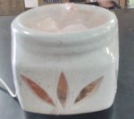 638424064_2023299581547266_8812458904428302308_n